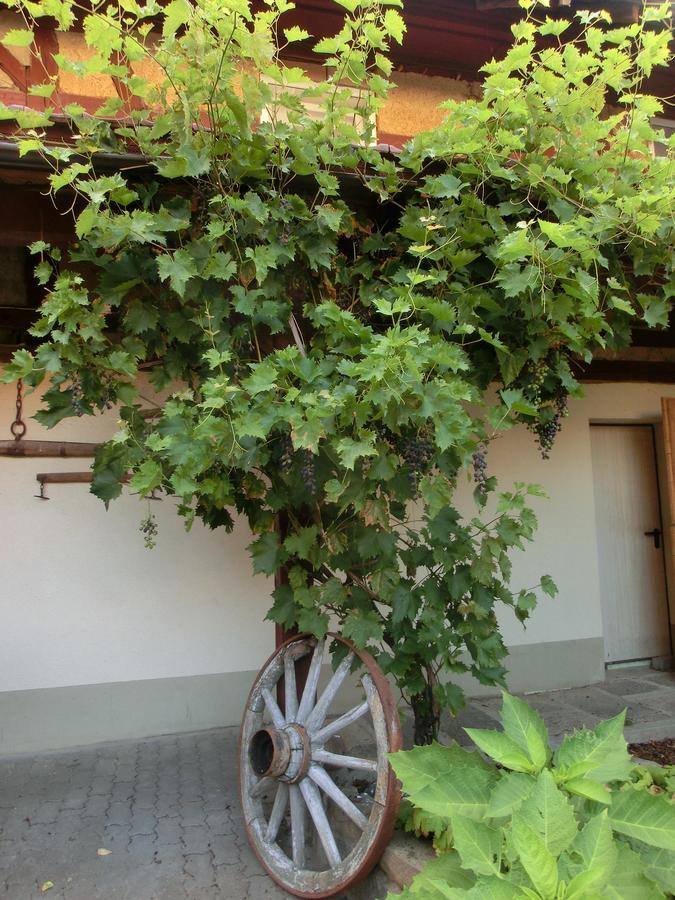 斯恩豪夫酒店 Geldersheim 外观 照片
